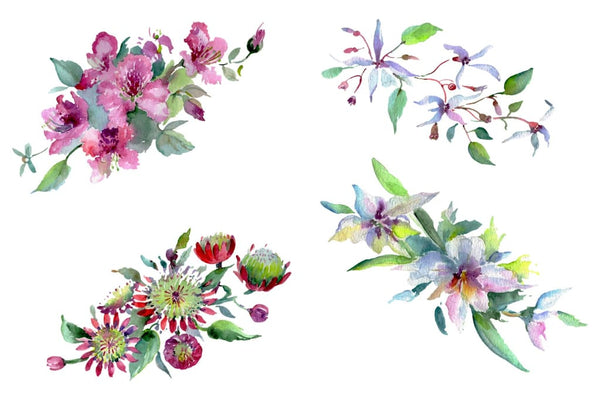 Bouquet of flowers Moulin Rouge watercolor PNG Flower