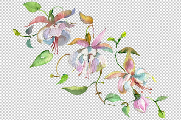 Bouquet of flowers Mozambique watercolor PNG Flower