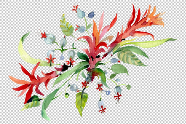 Bouquet of flowers Mozambique watercolor PNG Flower