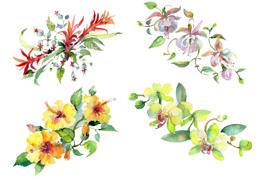Bouquet of flowers Mozambique watercolor PNG Flower