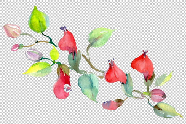 Bouquet of flowers Rainbow watercolor PNG Flower