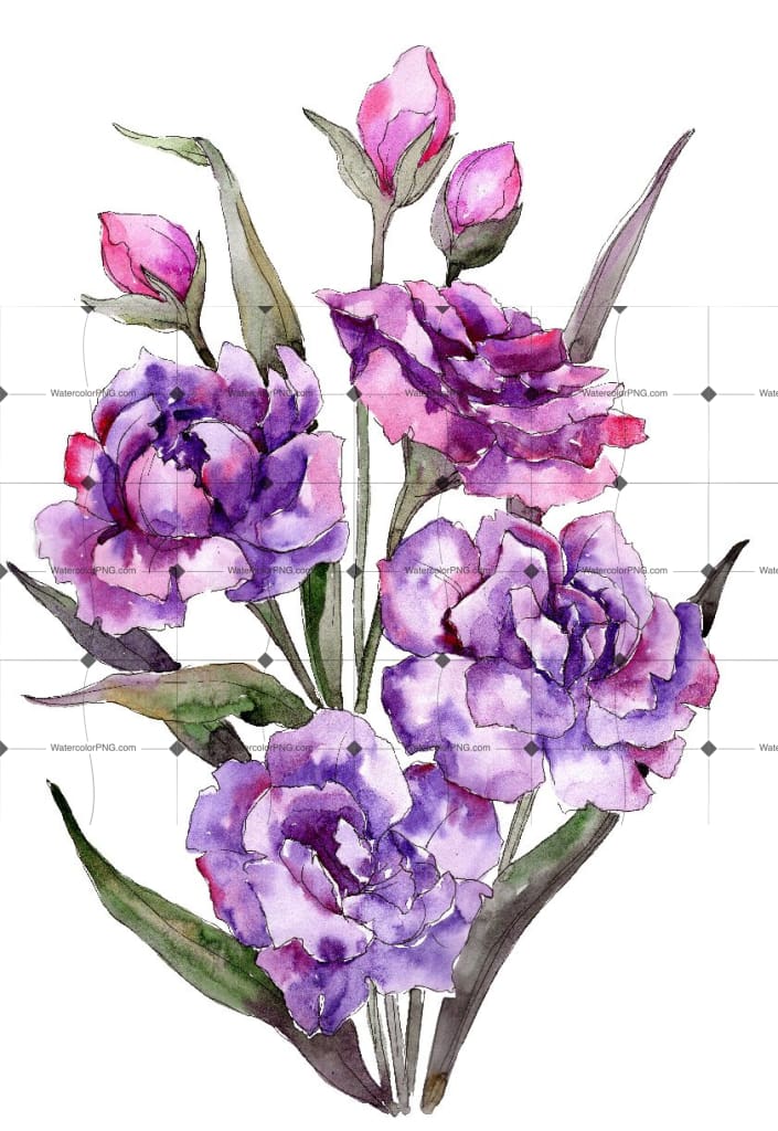 Bouquet Of Purple Peony Png Watercolor Set Flower