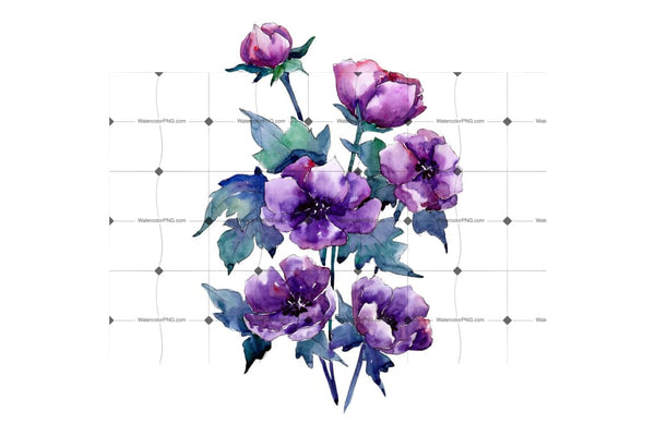 Bouquet Of Purple Poppy Png Watercolor Set Flower
