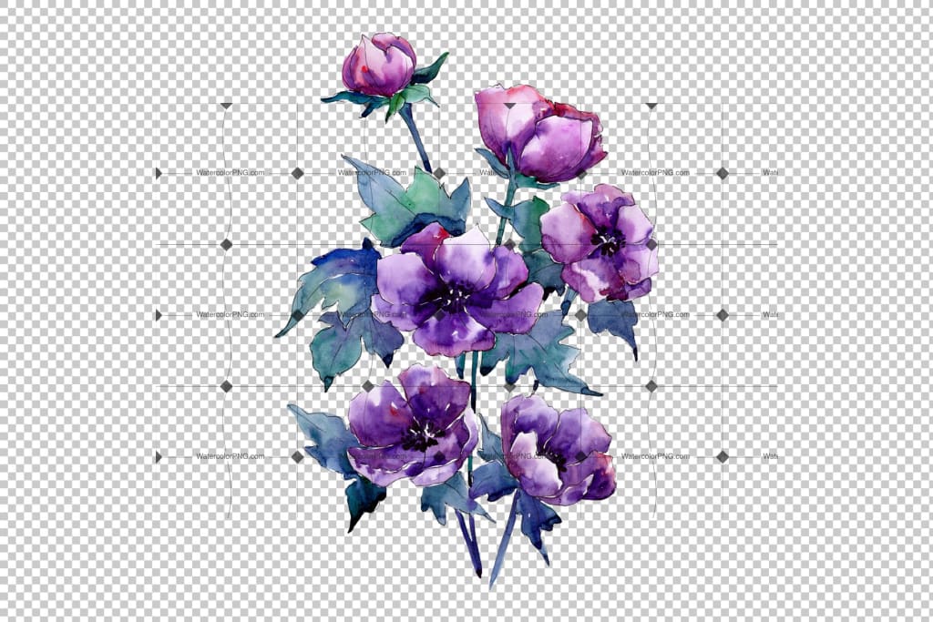 purple poppy drawing