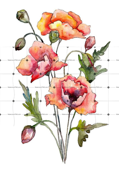 Bouquet Of Red Poppies Png Watercolor Set Flower
