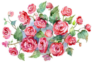 Bouquet of roses pinks Metamorphosis Watercolor png Flower