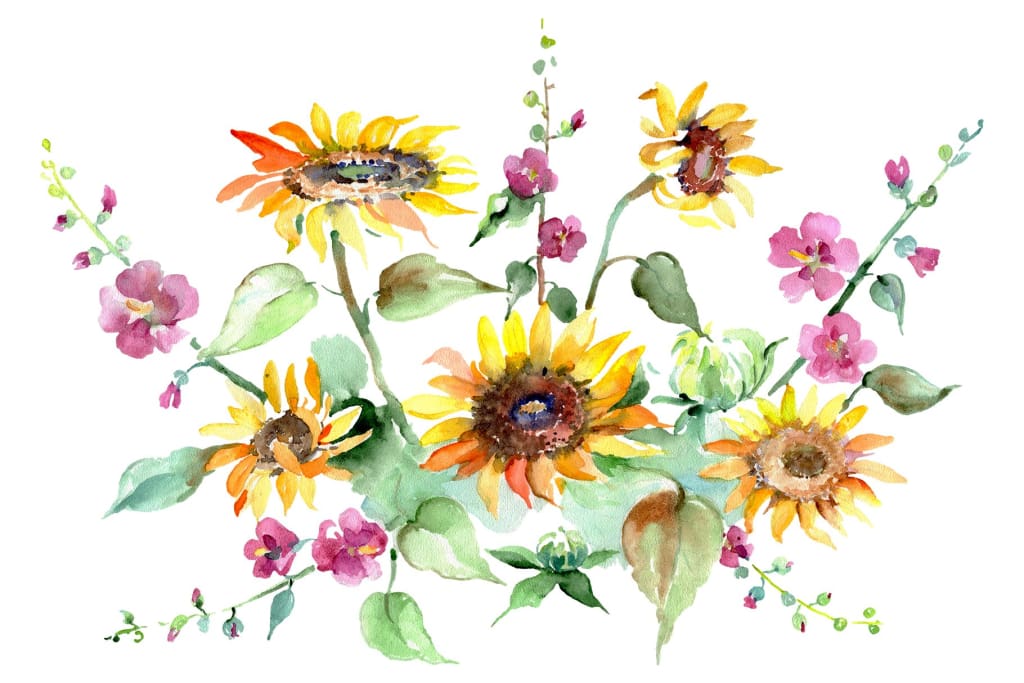 Bouquet of sunflowers Watercolor png Flower
