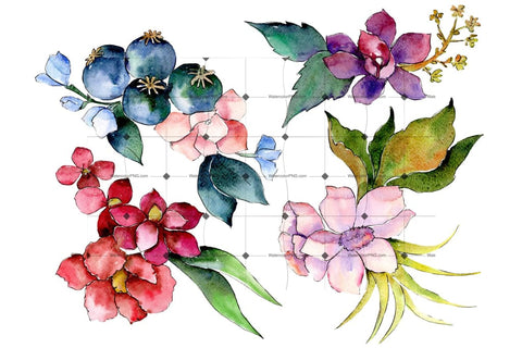 Bouquet Of Tropical Colorful Flower Png Watercolor Flower