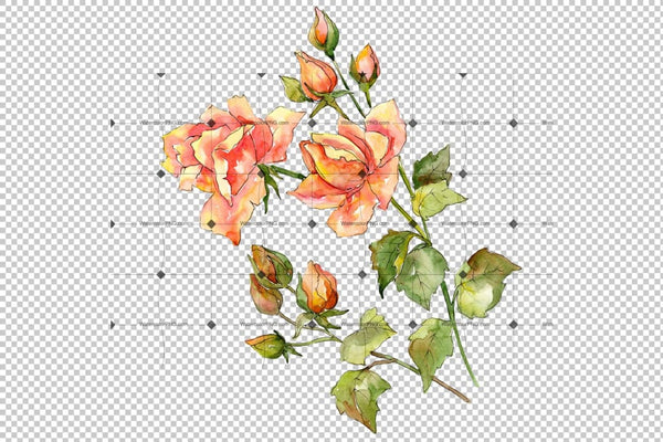 Bouquet Of Wonderful Roses Png Watercolor Set Flower