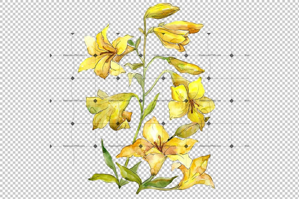 Bouquet Of Yellow Lilies Png Watercolor Flower Set Flower
