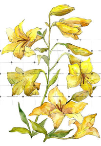 Bouquet Of Yellow Lilies Png Watercolor Flower Set Flower