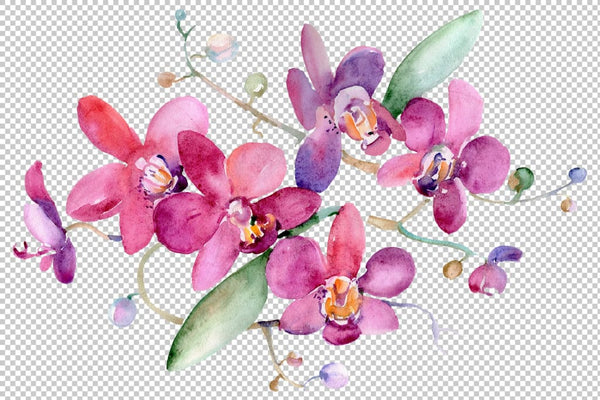 Bouquet pink Jessica watercolor png Flower