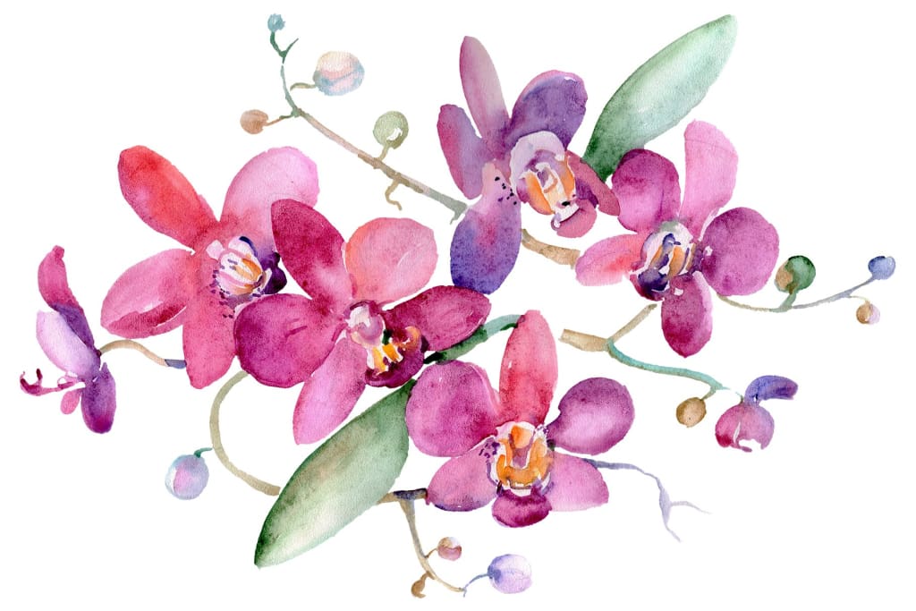 Bouquet pink Jessica watercolor png Flower