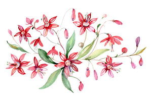 Bouquet red Alley of Glory watercolor png Flower