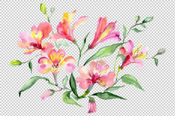 Bouquet red world of good watercolor png Flower