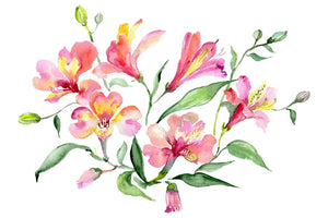 Bouquet red world of good watercolor png Flower