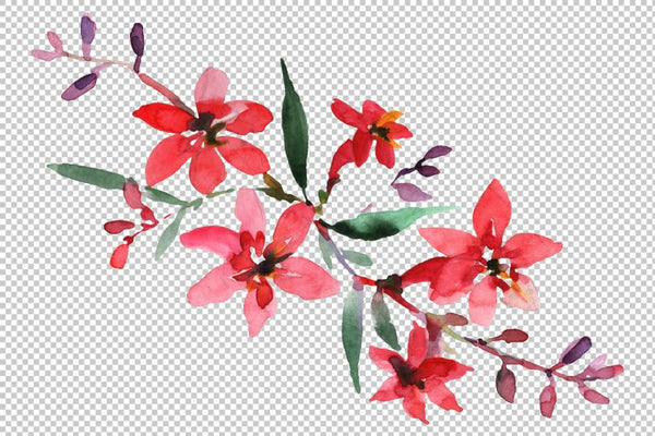 Bouquet Refinement Watercolor png Flower