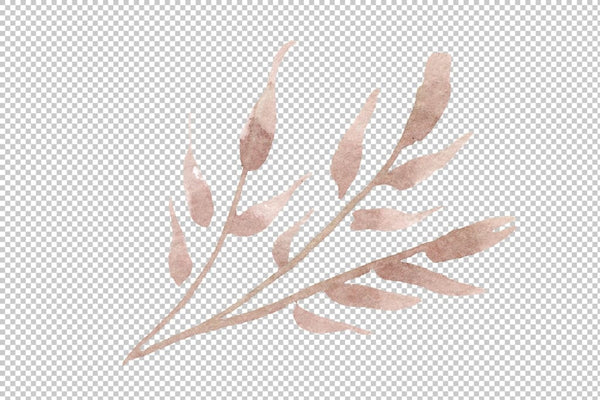 Bouquet Summer beauty watercolor png Flower