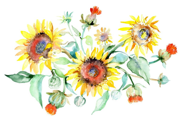 Bouquet sunflower field yellow watercolor png Flower