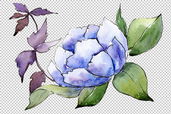Bouquet The first song of summer watercolor png Flower