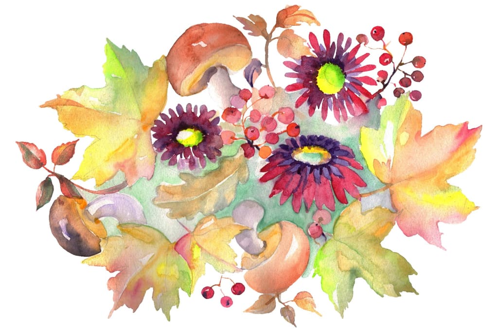 Bouquet with asters and mushrooms Watercolor png Flower