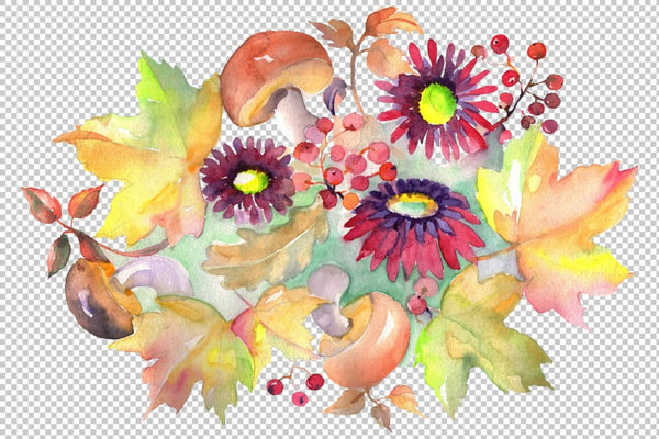 Bouquet with asters and mushrooms Watercolor png Flower