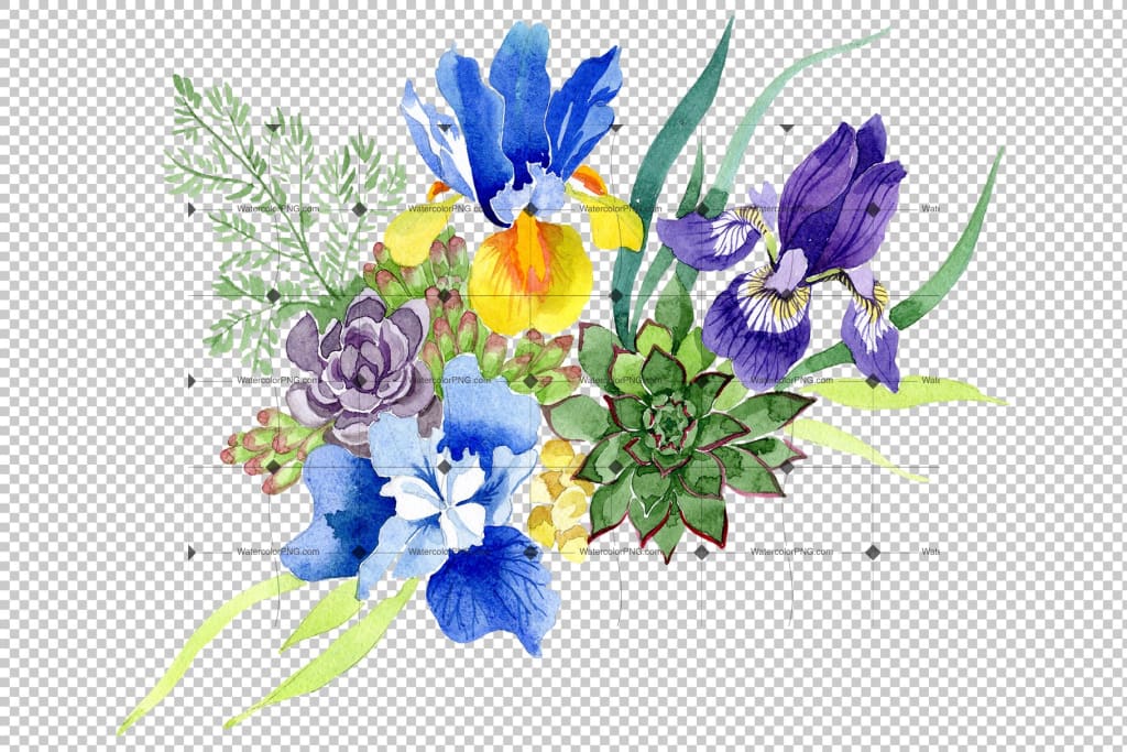 Bouquet With Blue Irises Watercolor Png Flower
