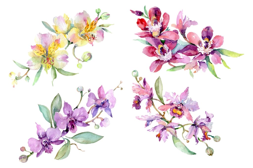 Bouquet with orchids Angel gift Watercolor png Flower