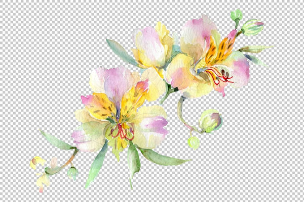 Bouquet with orchids Angel gift Watercolor png Flower