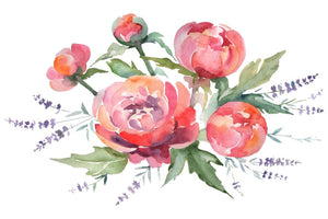 Bouquet with peonies and lavender red Watercolor png Flower
