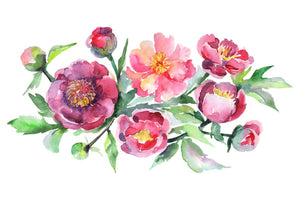 Bouquet with pink peonies Watercolor png Flower