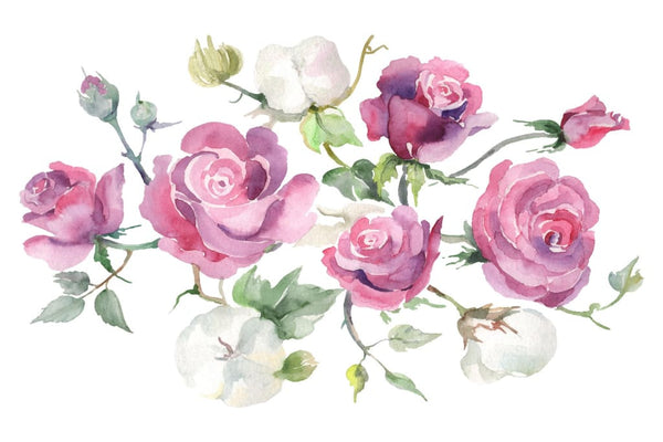 Bouquet with pink roses and cotton watercolor png Digital