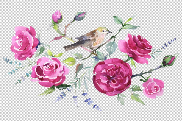 Bouquet with roses and a bird Watercolor png Flower
