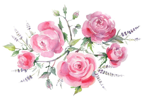Bouquet with roses and lavender pink Watercolor png Flower