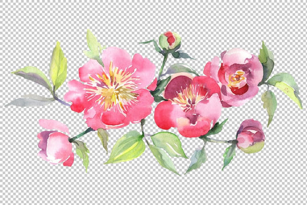 Bouquet with tea pink roses Watercolor png Flower