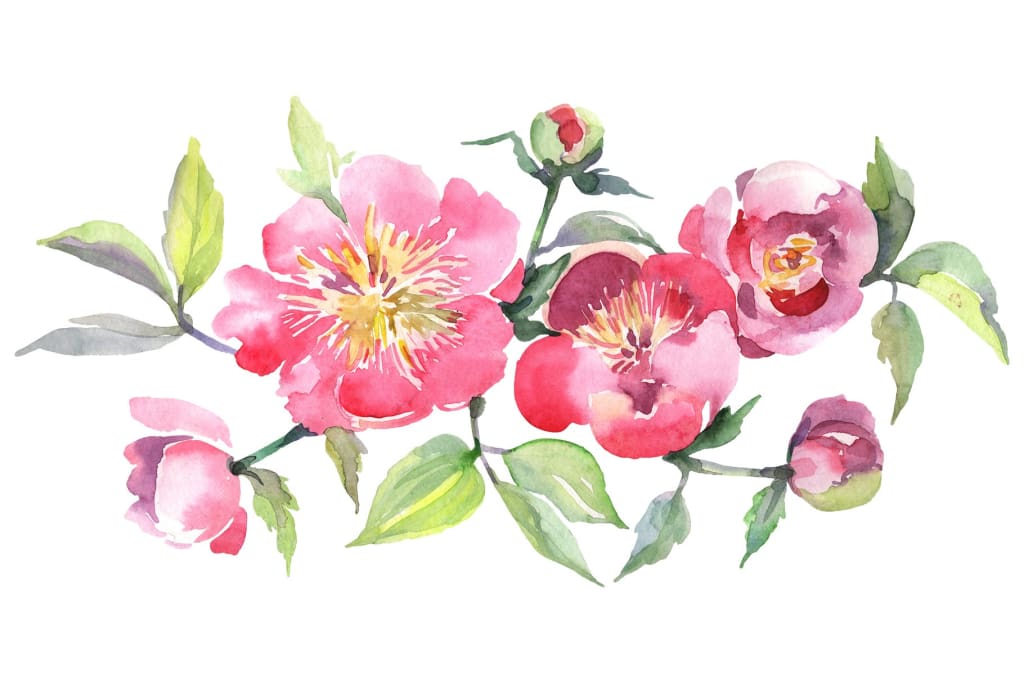 Bouquet with tea pink roses Watercolor png Flower