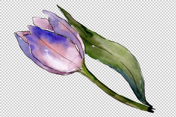 Bouquet with tulips Diodorus watercolor png Flower
