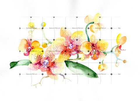 Bouquet Yellow Orchid Flower Png Watercolor Set Flower
