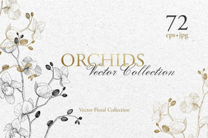 Branch of Orchids vector watercolor Digital