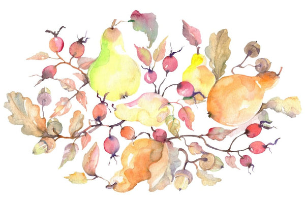 Branch of pears Watercolor png Flower