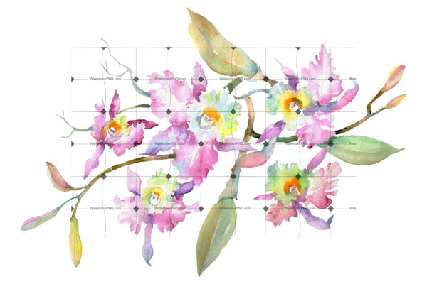 Branch Of Pink Orchids Watercolor Png Flower