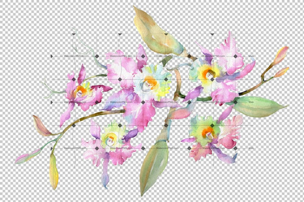 Branch Of Pink Orchids Watercolor Png Flower