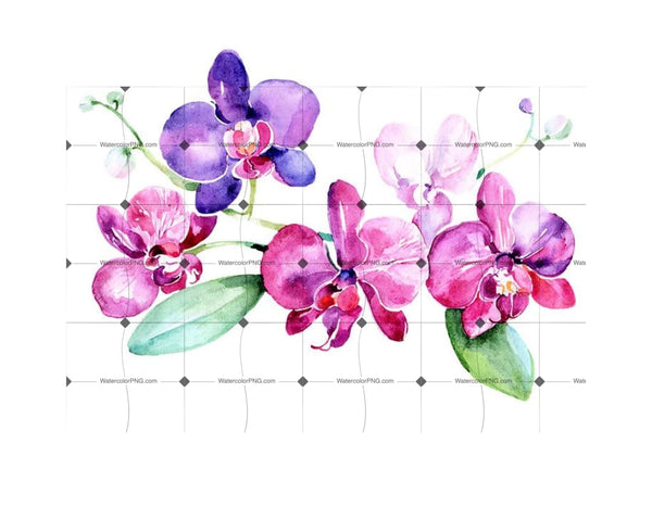 Branch Of Purple Orchids Png Watercolor Set Flower