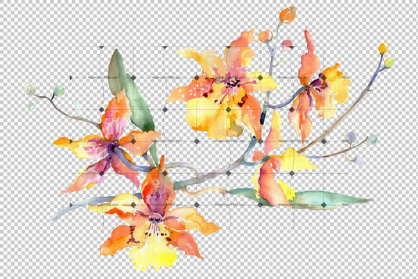 Branch Of Yellow Orchids Watercolor Png Flower
