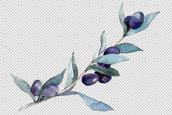 Branch olive watercolor png Flower