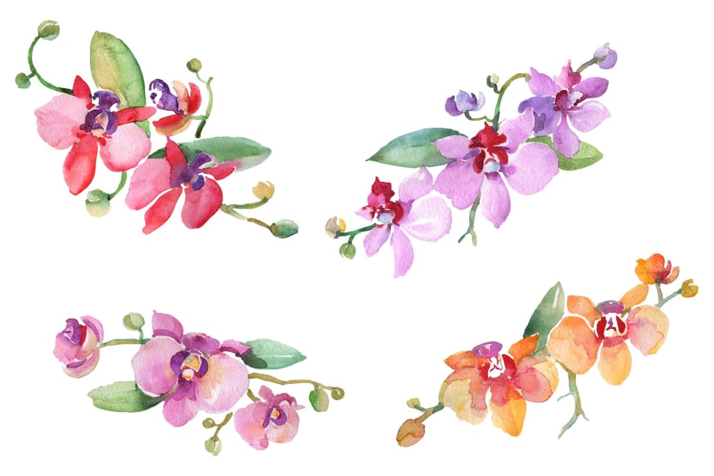 Branch with orchids Watercolor png Flower