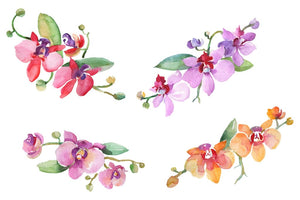 Branch with orchids Watercolor png Flower