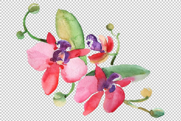 Branch with orchids Watercolor png Flower