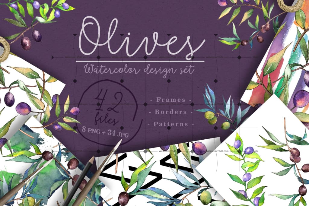 Branches Of An Olive Tree Png Watercolor Set Digital