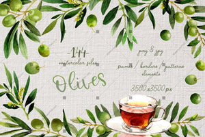 Branches Of Olive Tree Png Watercolor Set Digital
